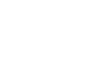 CyberOwl_White CyberOwl_White