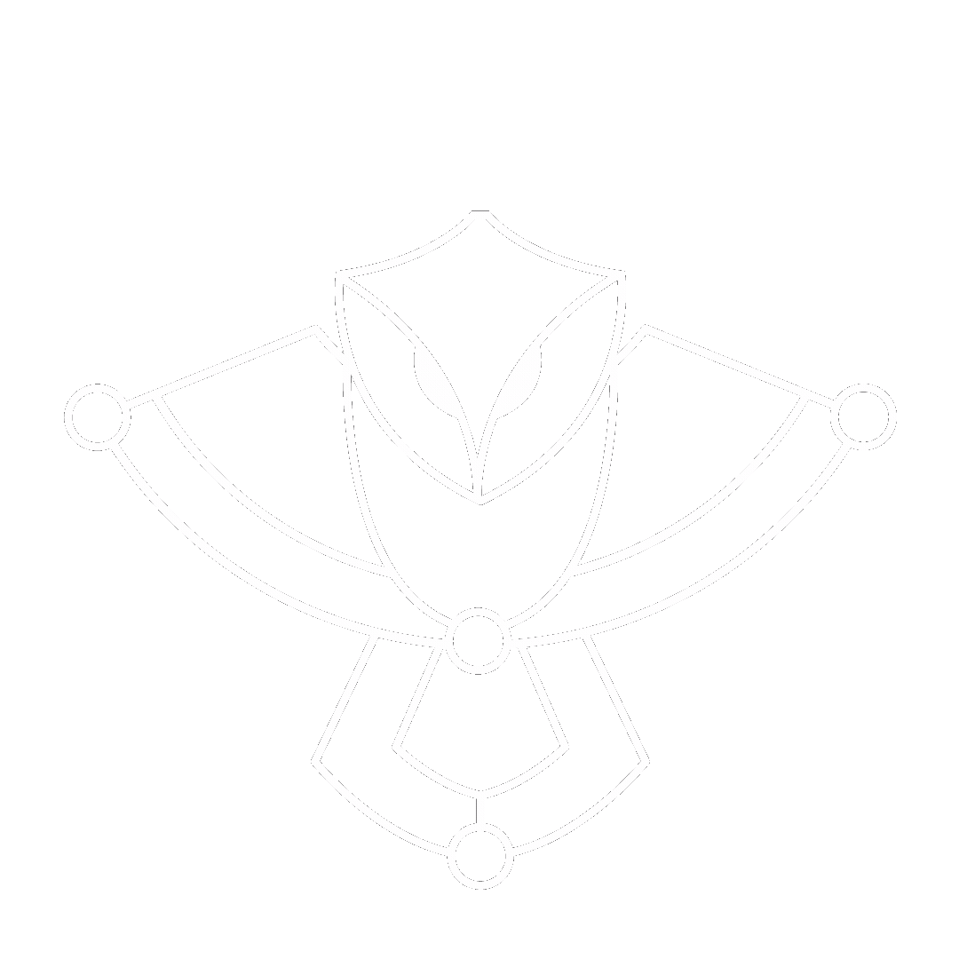 Nexa CyberOwl Nexa CyberOwl